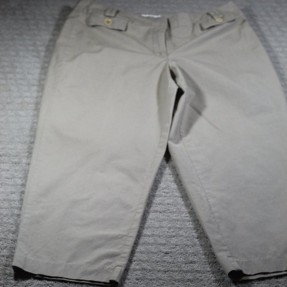 Talbots Size 12 Stretch Tan Micro-Houndstooth Trousers